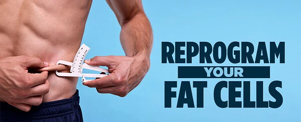 The Science of Epigenetic Obesogenic Memory