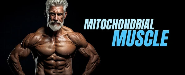 Live Longer, Live Stronger