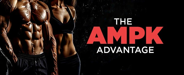 The Master Switch for More Muscle, Less Fat